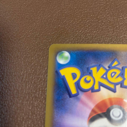 Pokemon Charizard ex RR — XY Expansion Pack Wild Blaze 055/080 — Japanese