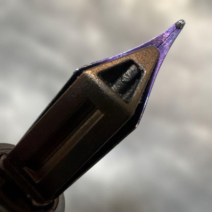 WATERMAN PARIS black fountain pen with stainless steel tip shown on white background