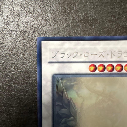Yu-Gi-Oh Black Rose Dragon — Japanese