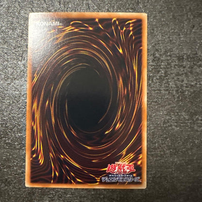 Yu-Gi-Oh Black Rose Dragon — Japanese