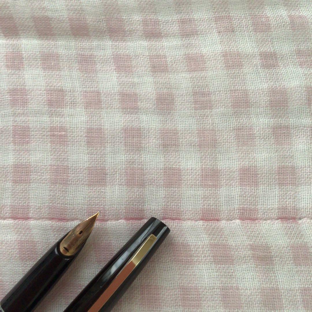 Pilot 14K gold Elite Manifold black fountain pen with cartridge style and slight nib tarnish
