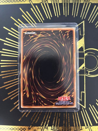 Yu-Gi-Oh Black Rose Dragon — Japanese