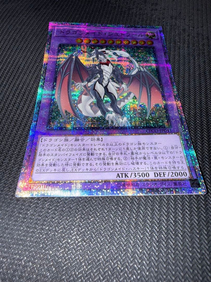 Yu-Gi-Oh Dragonmaid Stryk herd 20th — Japanese