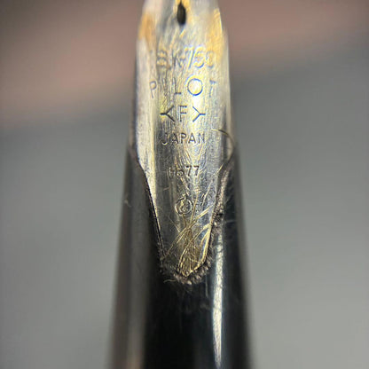 Pilot sterling silver fountain pen with silver body and classic nib shown on white background