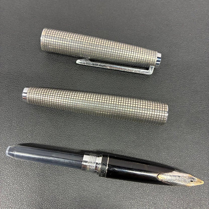Pilot sterling silver fountain pen with silver body and classic nib shown on white background
