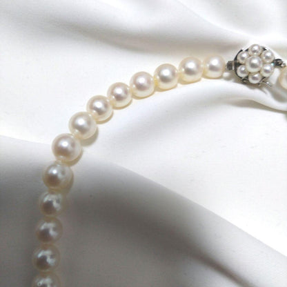 Akoya pearl necklace A with 38 cm length, 6 to 6.5 mm pearls, and silver clasp on white background