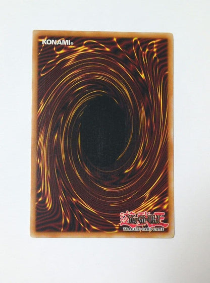 Yu-Gi-Oh Black Rose Dragon CSOC — CSOC-EN039 — English