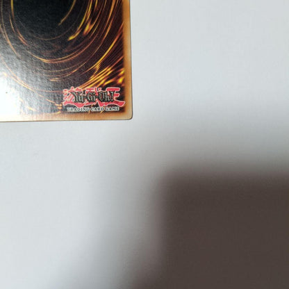 Yu-Gi-Oh Black Rose Dragon CSOC — CSOC-EN039 — English