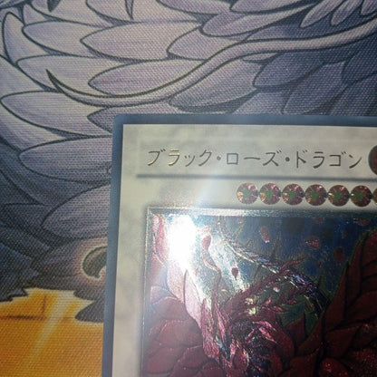 Yu-Gi-Oh Black Rose Dragon — Japanese