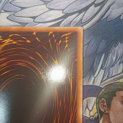 Yu-Gi-Oh Black Rose Dragon — Japanese