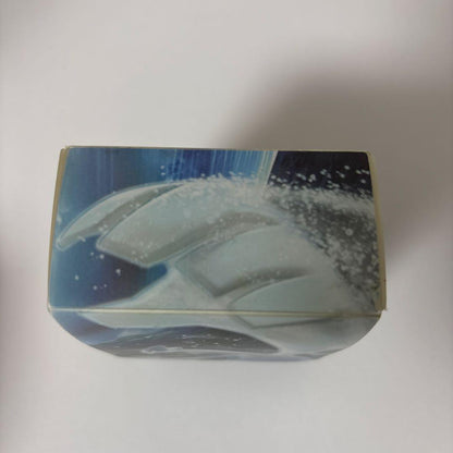 Pokemon Ho-Oh Box — Japanese