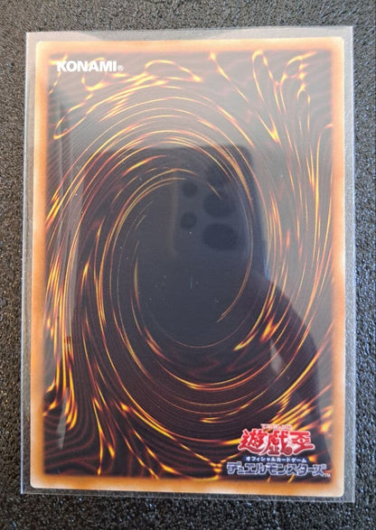 Yu-Gi-Oh White Forest of Riset INFO QCSE — Japanese