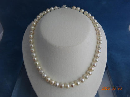 Akoya pearl necklace featuring 8-8.5mm almost round and semi-round pearls with a 43cm one-touch silver clasp
