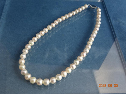Akoya pearl necklace featuring 8-8.5mm almost round and semi-round pearls with a 43cm one-touch silver clasp