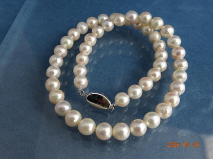 Akoya pearl necklace featuring 8-8.5mm almost round and semi-round pearls with a 43cm one-touch silver clasp