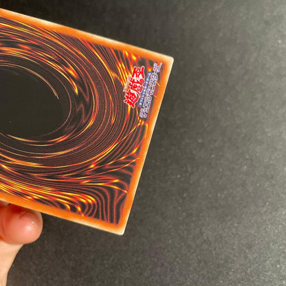 Yu-Gi-Oh Red-Eyes Black Dragon — Chinese