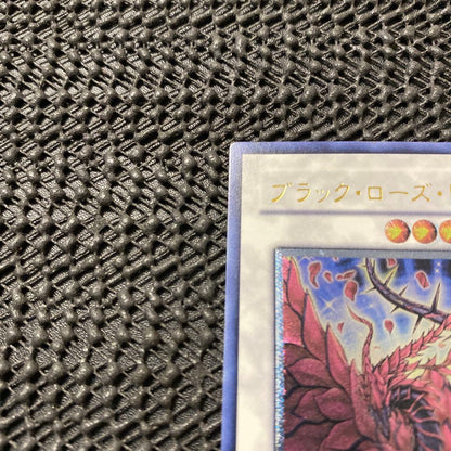 Yu-Gi-Oh Black Rose Dragon CSOC — CSOC-JP039 — Japanese