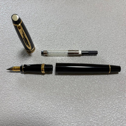 WATERMAN Expert Essential Black GT fountain pen with fine nib, unused condition