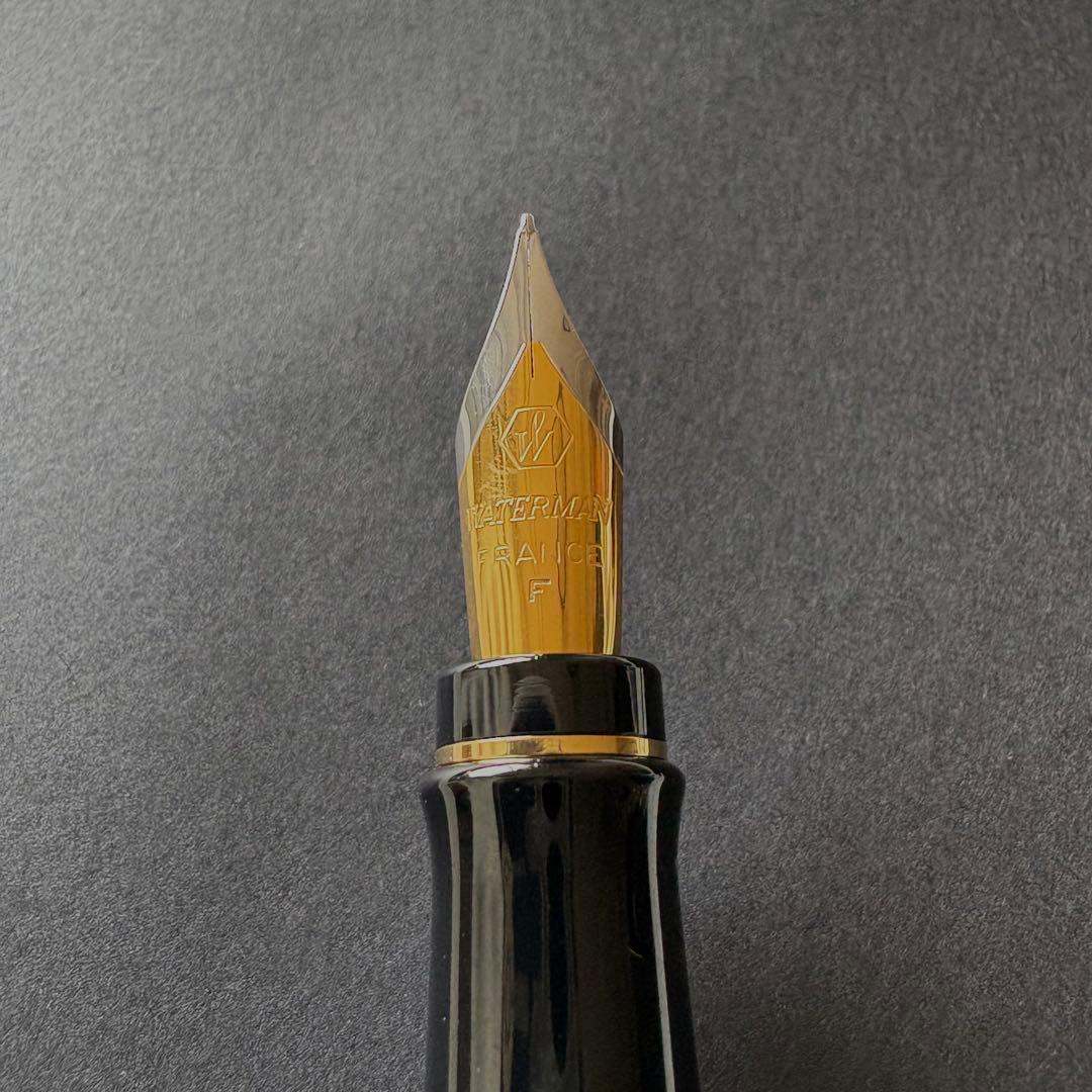 WATERMAN Expert Essential Black GT fountain pen with fine nib, unused condition