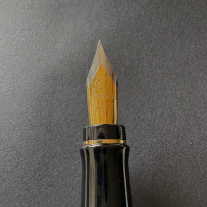 WATERMAN Expert Essential Black GT fountain pen with fine nib, unused condition