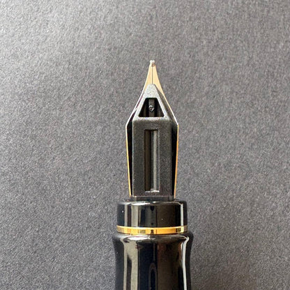 WATERMAN Expert Essential Black GT fountain pen with fine nib, unused condition