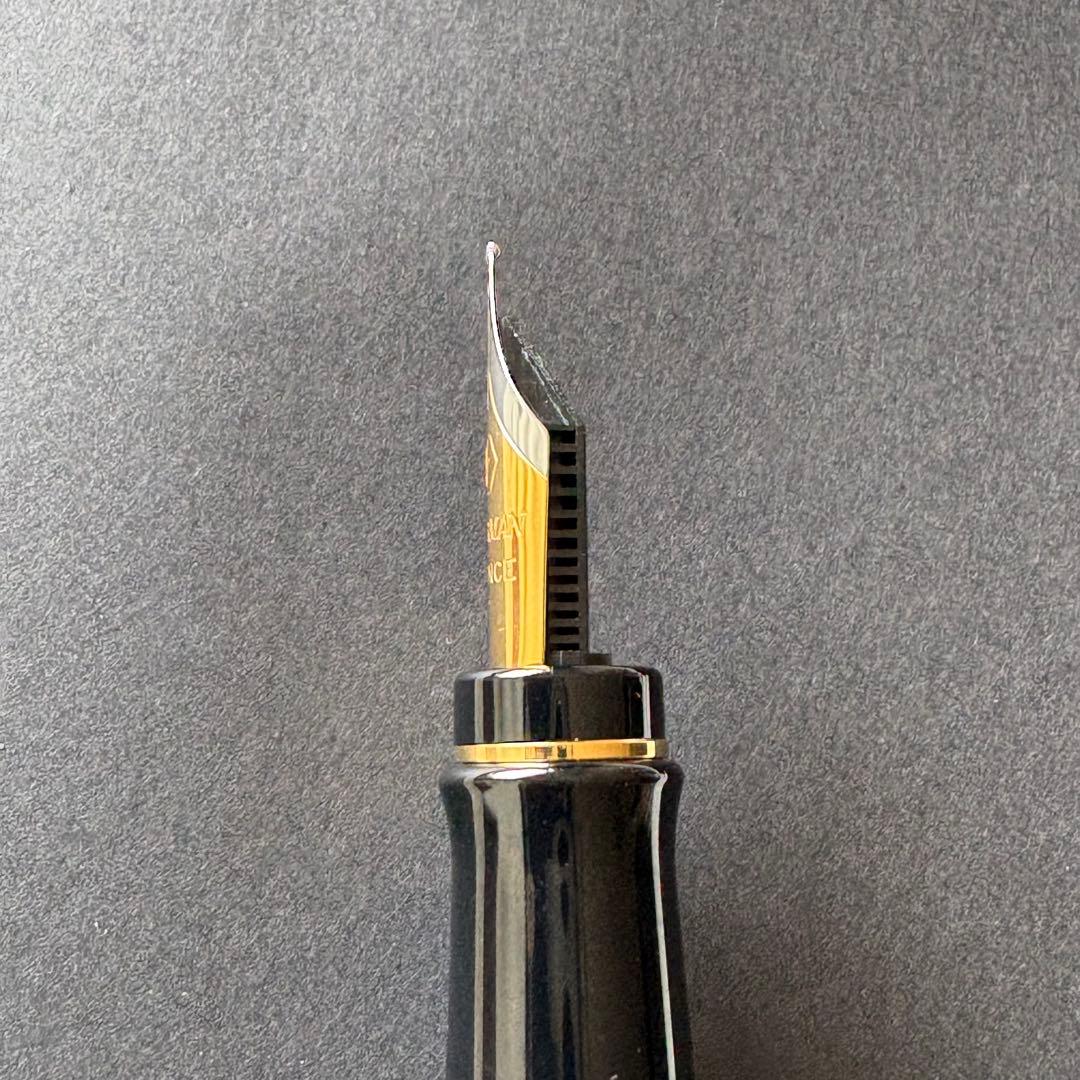 WATERMAN Expert Essential Black GT fountain pen with fine nib, unused condition
