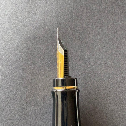 WATERMAN Expert Essential Black GT fountain pen with fine nib, unused condition