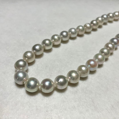 Akoya pearl necklace with 8.0mm silver grey pearls, 44cm length, displayed on white background