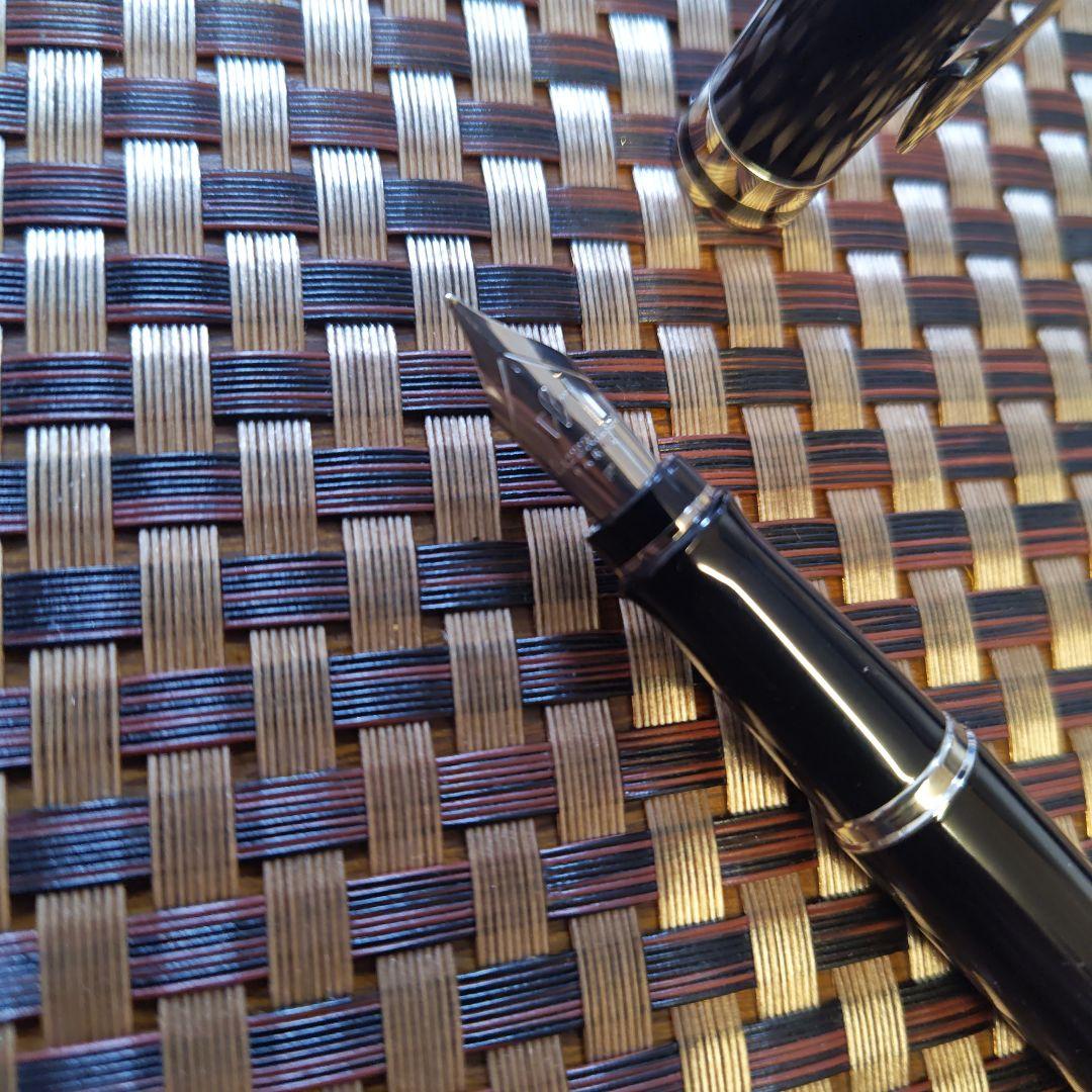 Waterman black fountain pen with blue ink cartridge and dedicated black case on white background