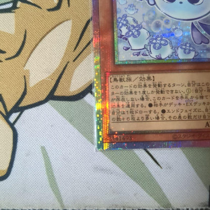 Yu-Gi-Oh Yu-Gi-Oh! Maruchamī Fuwa Rós — Japanese