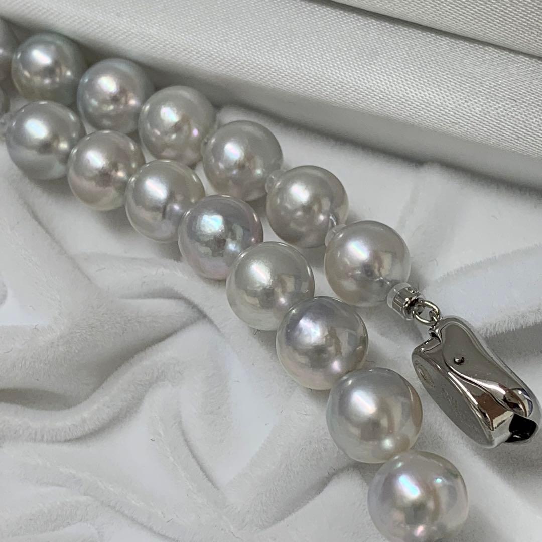 Natural gray Akoya pearl necklace 9-9.5mm with silver clasp on white background