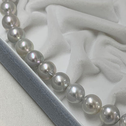 Natural gray Akoya pearl necklace 9-9.5mm with silver clasp on white background