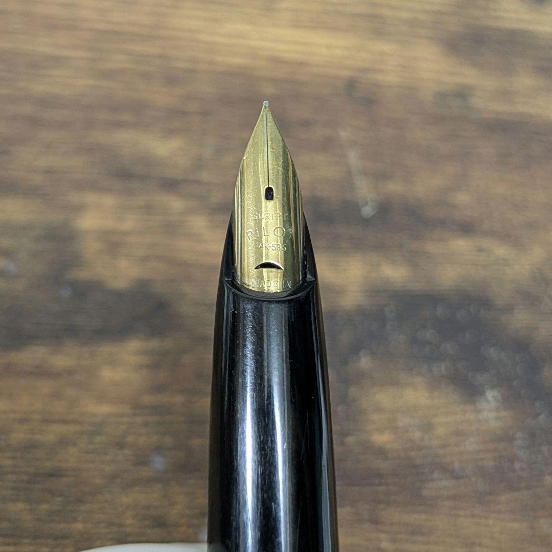 Pilot Fountain Pen E-300 with 14K fine nib and double spare cartridge type shown from side angle