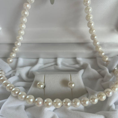 Akoya Pearl 3-piece set with necklace featuring single-pearl pendant and titanium earrings displayed in a gray case