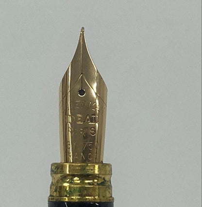 Waterman fountain pen with 18k 750 gold nib displayed alongside its protective case