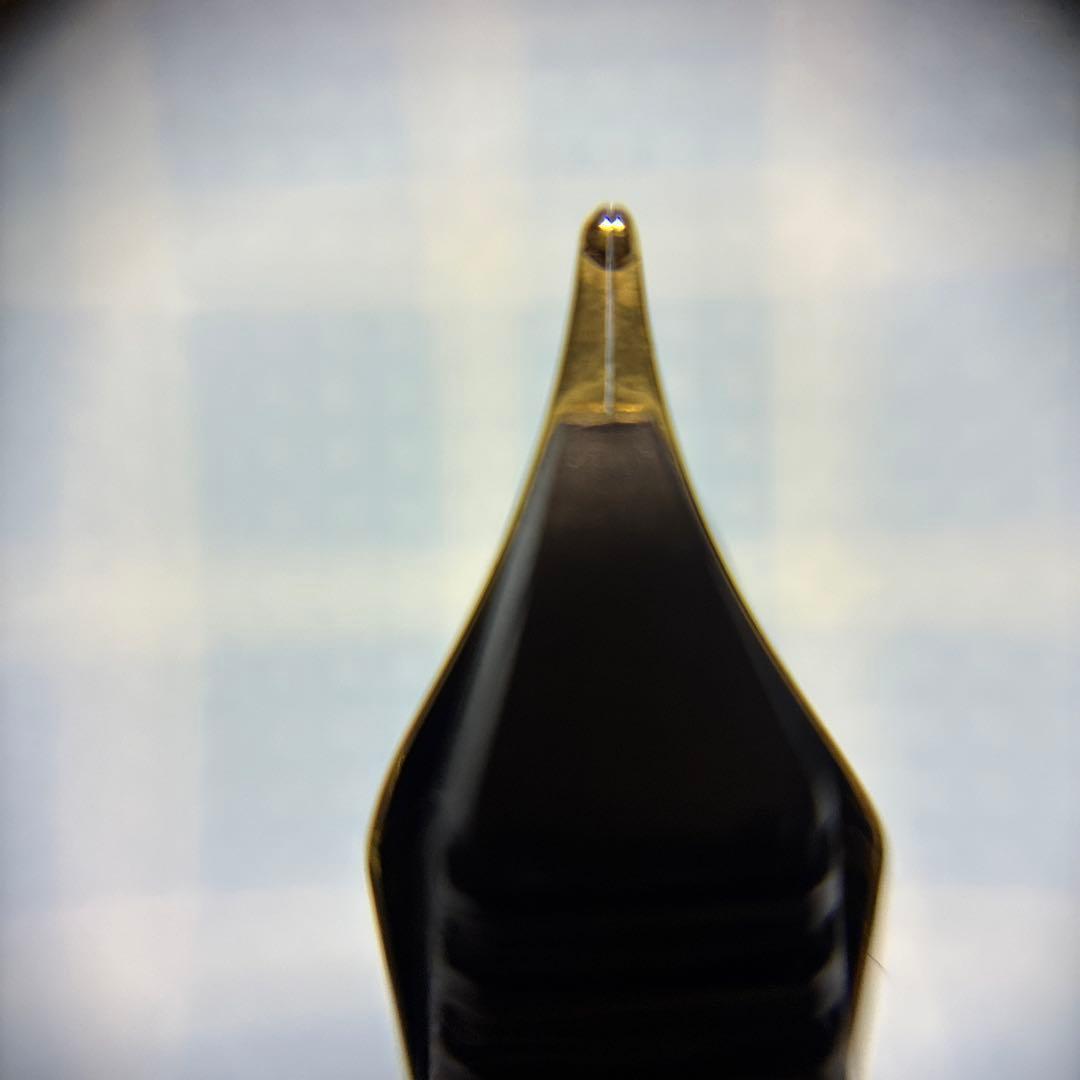 Waterman Fountain Pen with stainless steel fine tip shown with cap off on white background