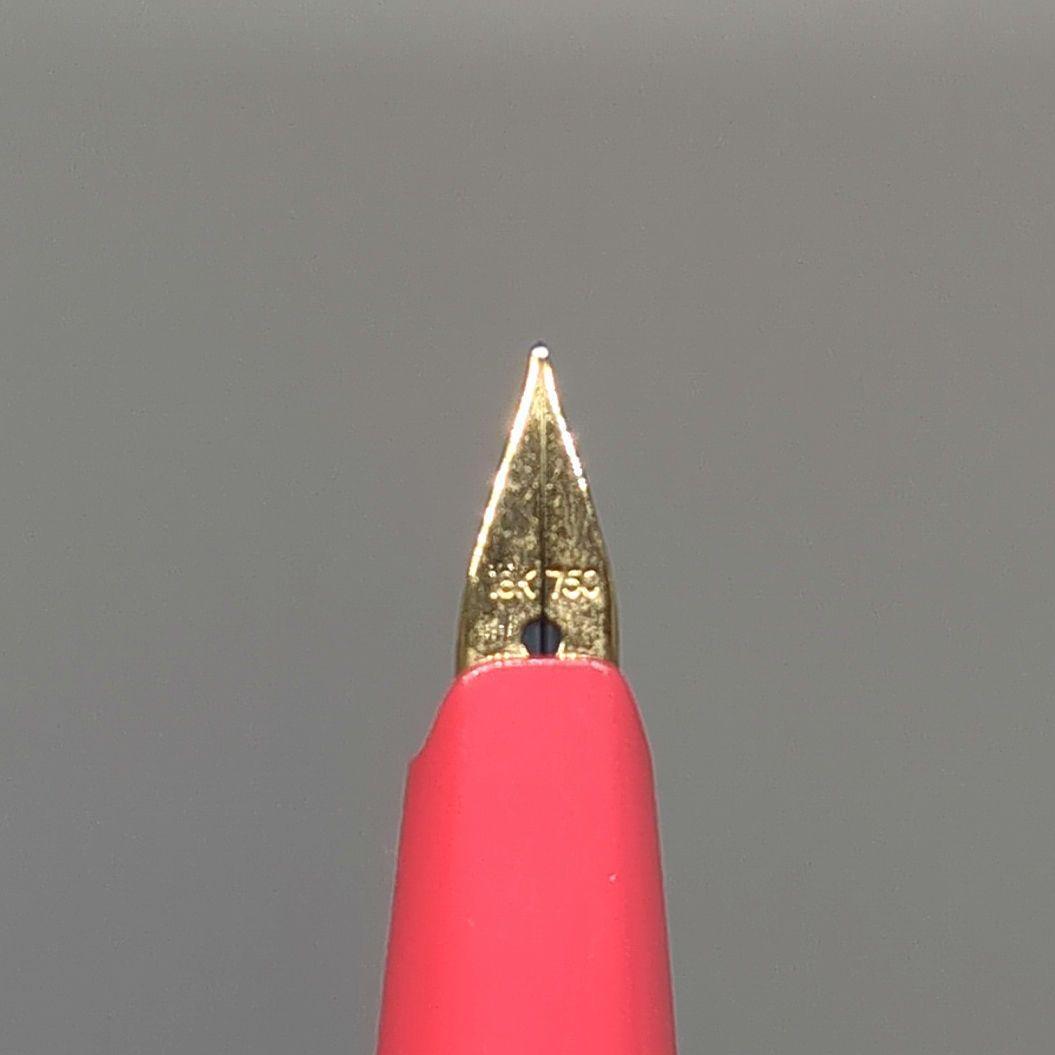 Pilot fountain pen short size with fine 18K gold tip and sleek black body