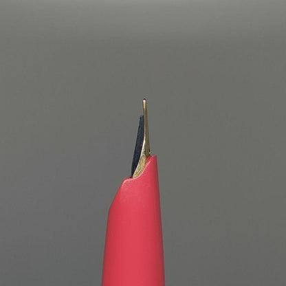 Pilot fountain pen short size with fine 18K gold tip and sleek black body