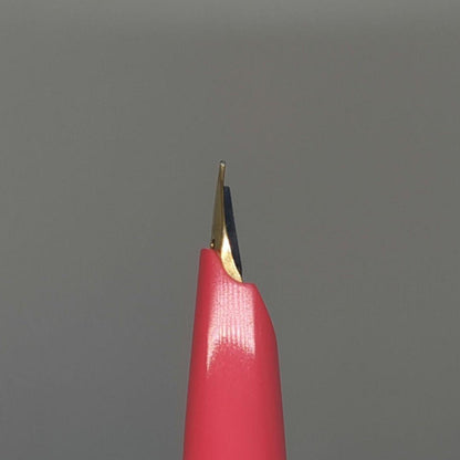 Pilot fountain pen short size with fine 18K gold tip and sleek black body