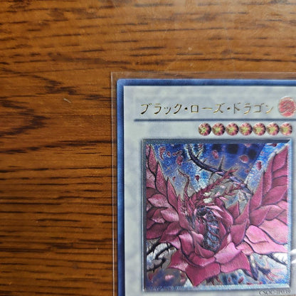 Yu-Gi-Oh Black Rose Dragon CSOC — Japanese