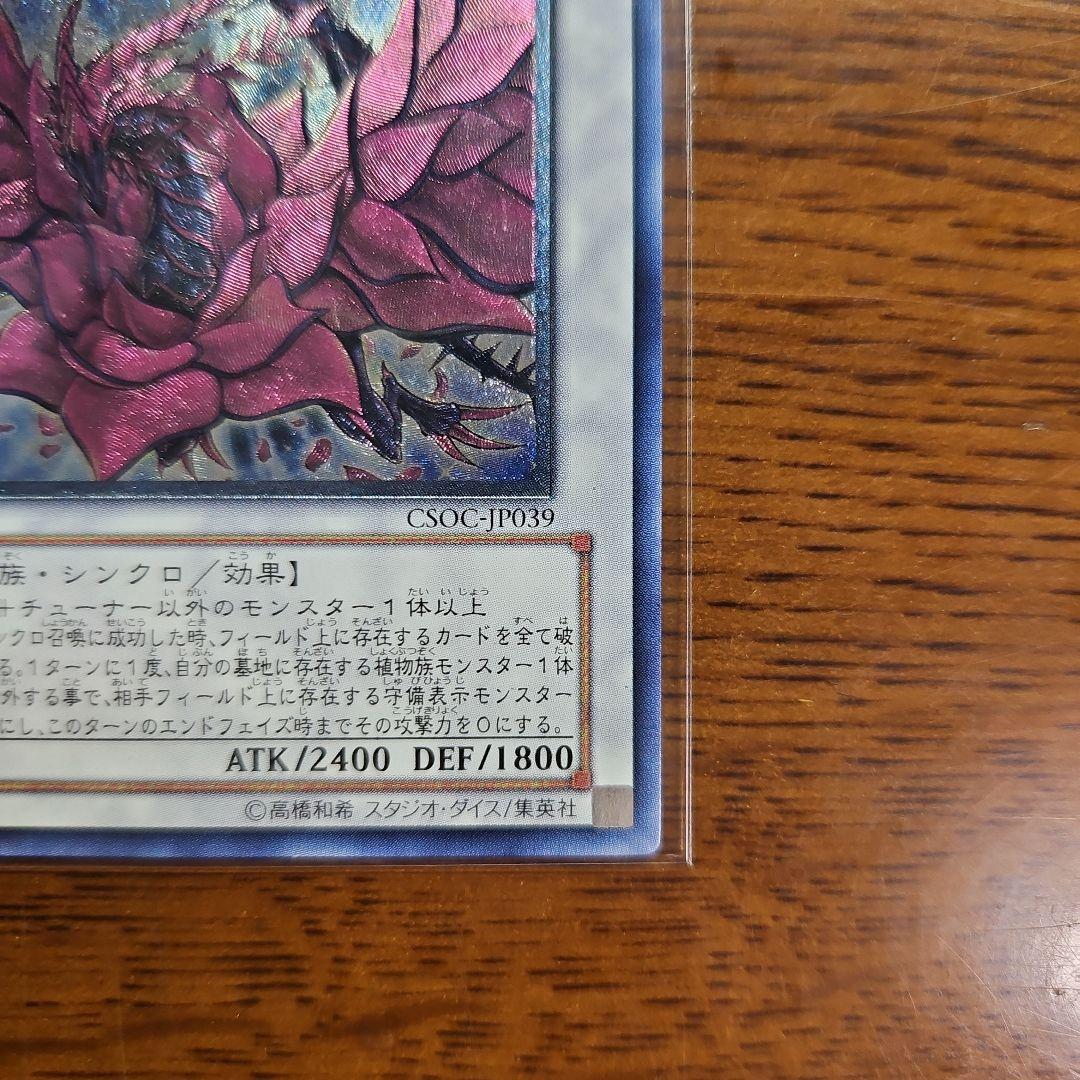 Yu-Gi-Oh Black Rose Dragon CSOC — Japanese