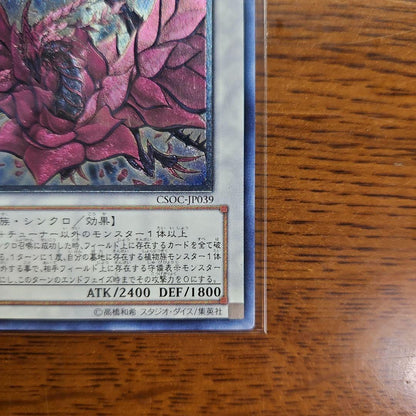 Yu-Gi-Oh Black Rose Dragon CSOC — Japanese