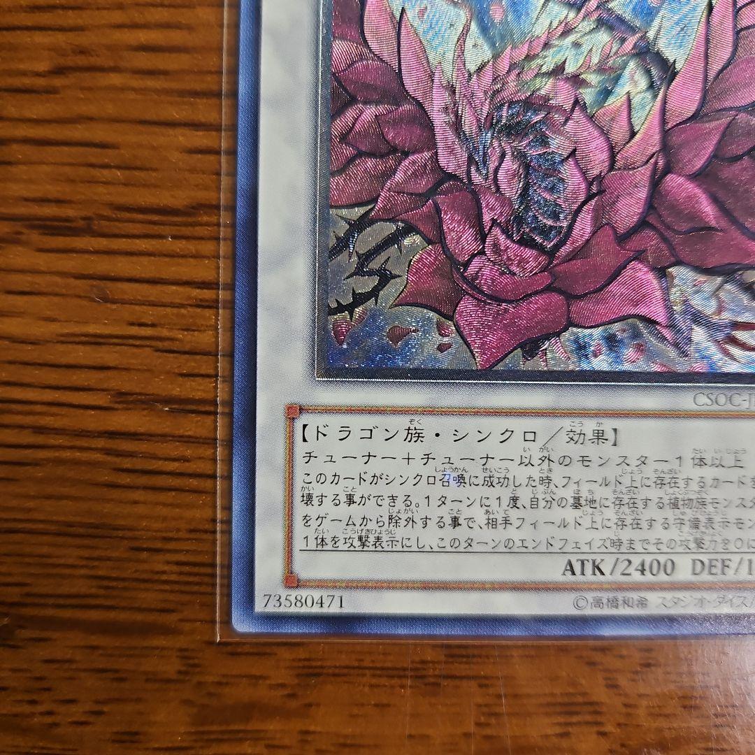 Yu-Gi-Oh Black Rose Dragon CSOC — Japanese