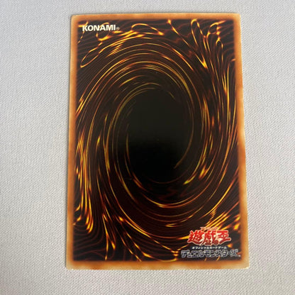 Yu-Gi-Oh Yu-Gi-Oh! Neo-Drya Parallel — Japanese