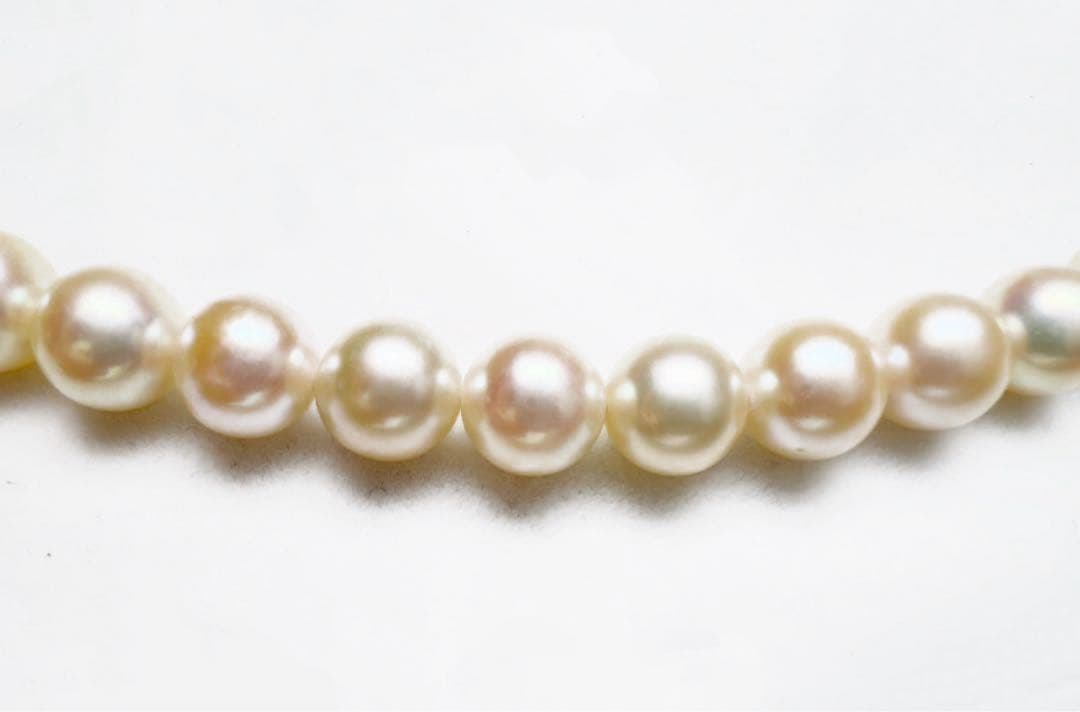 Iyo Bay Ise-Shima Akoya pearl necklace with 7.5-8.0mm untinted champagne white pearls and silver clasp