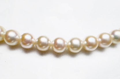 Iyo Bay Ise-Shima Akoya pearl necklace with 7.5-8.0mm untinted champagne white pearls and silver clasp