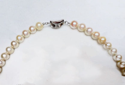 Iyo Bay Ise-Shima Akoya pearl necklace with 7.5-8.0mm untinted champagne white pearls and silver clasp