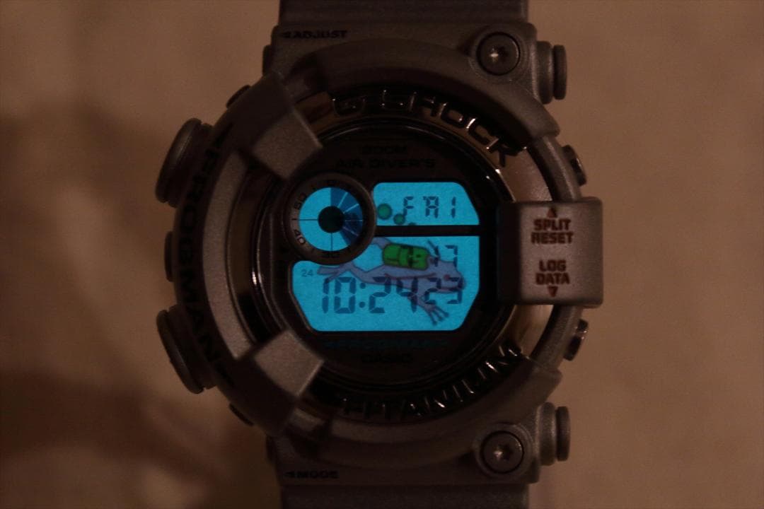 CASIO DW-8201 Digital Men's Watch — Japanese
