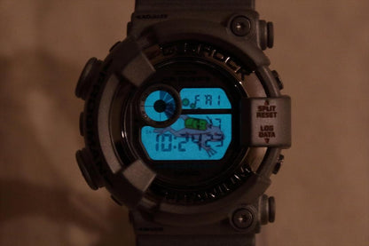 CASIO DW-8201 Digital Men's Watch — Japanese