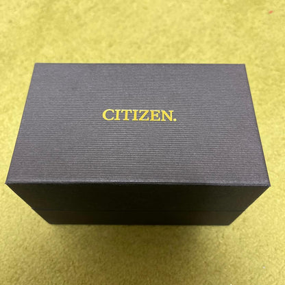 Citizen Ecodrive Solar Men's Watch — Japanese